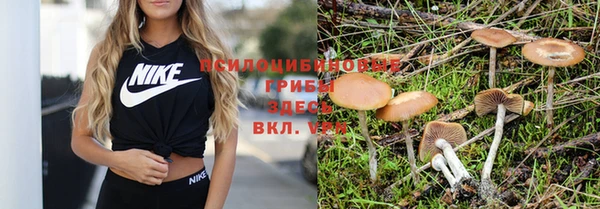 мет Киреевск