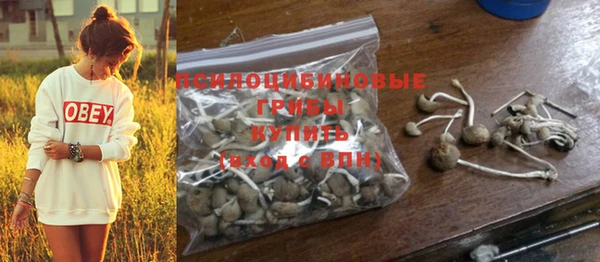 хмурый Киренск