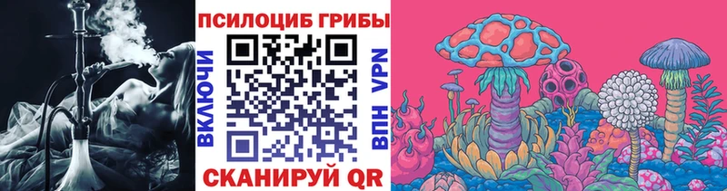 Галлюциногенные грибы Psilocybe Купить закладки Усть-Катав